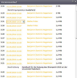 Screenshot SharePoint 09.jpg