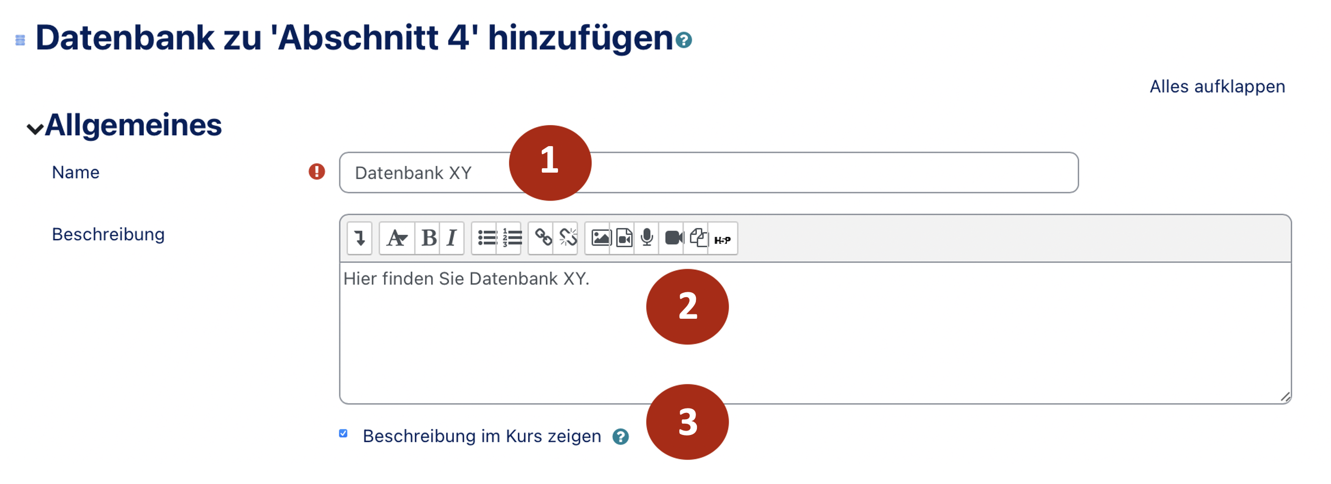 Datenbank Grundeinstellungen.png