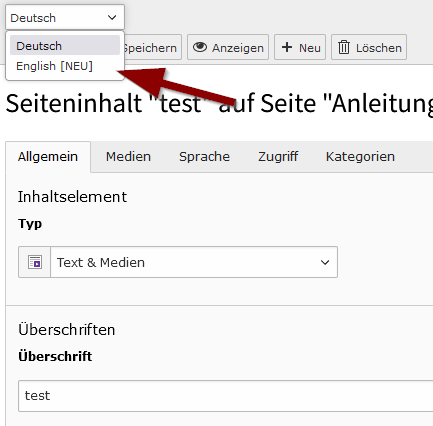 Typo3-seite-uebersetzen-13.png