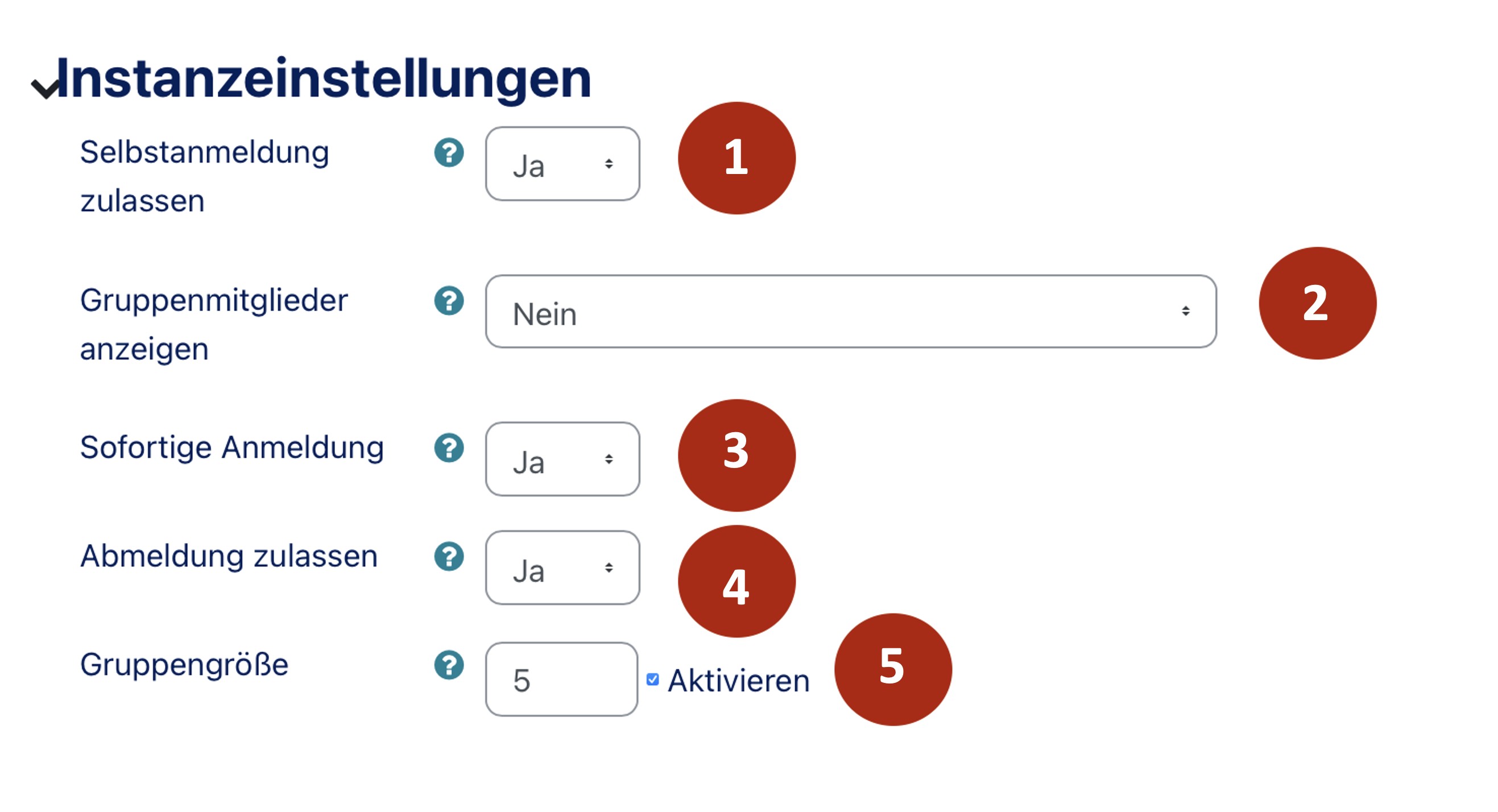 Gruppenverwaltung Instanzeinstellungen neu.png