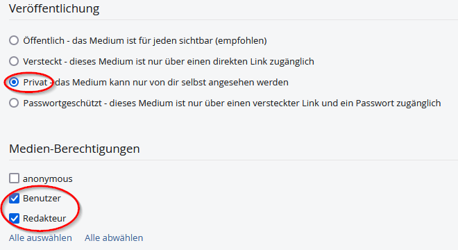 Screenshot Videoportal Video Zugriffseinstellungen Privat Benutzer Redakteur.png