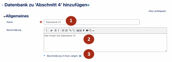 Datenbank Grundeinstellungen.png