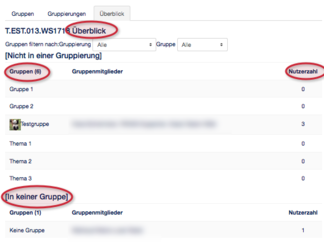 Gruppenverwaltung Moodle Überblick.png