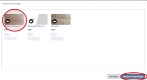 Vimp Channel Medien hinzufügen 2.png